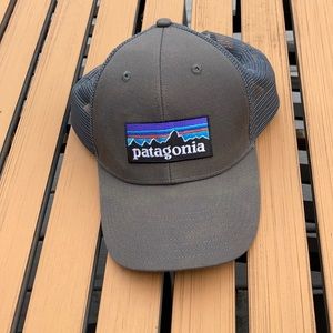 Patagonia trucker hat gray